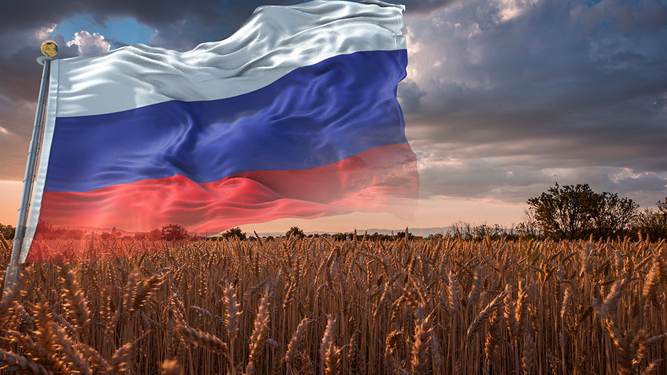 Анализ состояния сельскохозяйственной отрасли в России